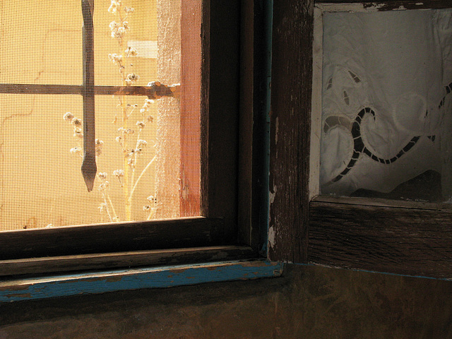 Bathroom Window