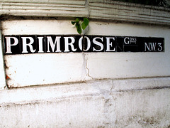Primrose Gardens NW3