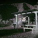 Borrego Palm Canyon Campground - IR (0032)