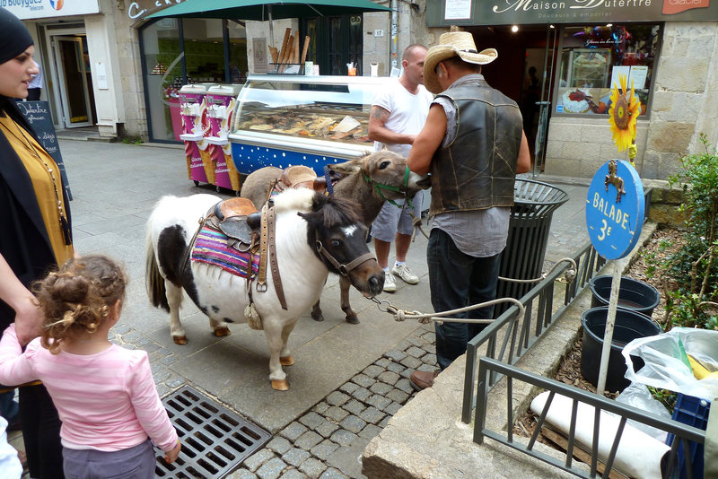 Quimper 2014 – Pony and donkey