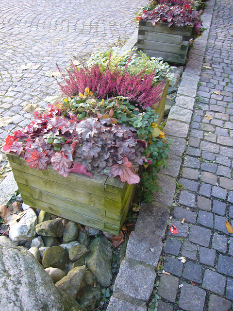 Herbstpflanzung