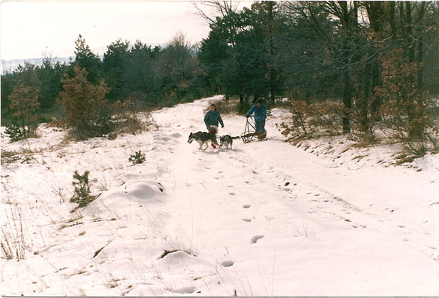 plus assez de neige Mais la vrai course est dans 3 jours alors on s'entraîne, avant le départ pour la haute montagne..1990