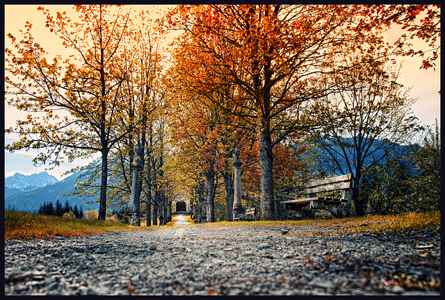 autumn avenue