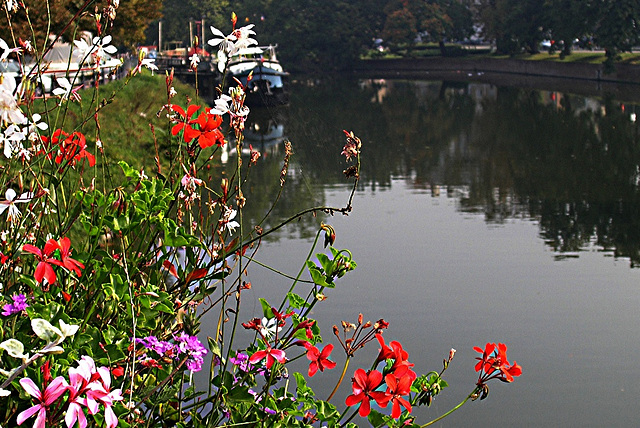 Lille et son canal