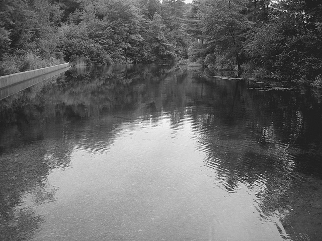 Half moon state park. Sur la 4 près de la 30 nord. Vermont, USA /  États-Unis -   26 juillet  2009 -  N & B