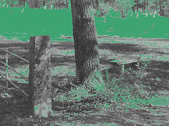 Hill crest cemetery - N & B avec vert photofiltré