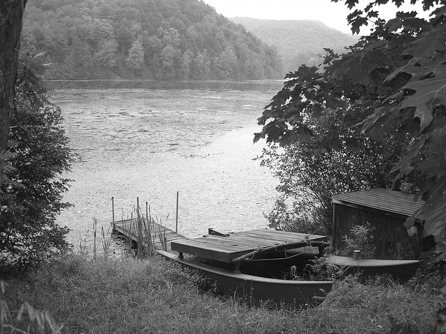 Half moon state park. Sur la 4 près de la 30 nord. Vermont, USA /  États-Unis -   26 juillet  2009  -  N & B