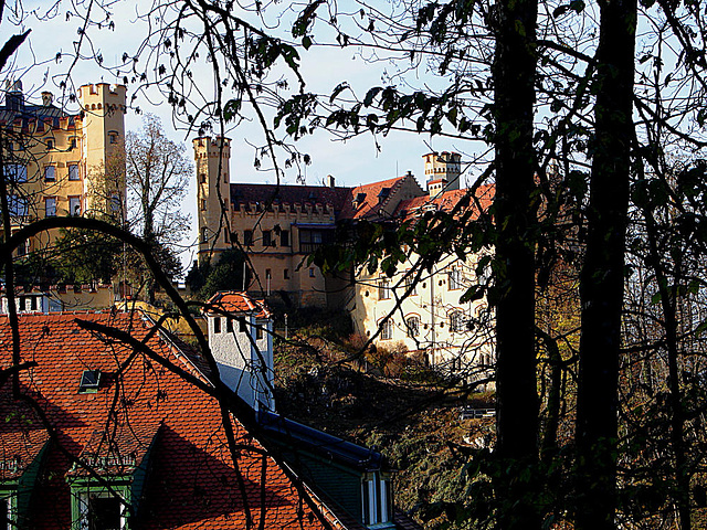 20061110 0999DSCw [D~OAL] Schloss Hohenschwangau