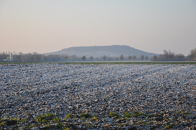 LE MONT AIMEE VERTUS