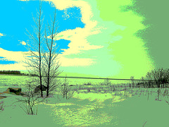 Randonnée en raquettes - Snowshoe run/  Hometown - Dans ma ville.  Hiver 2008  - Postérisation et bleu photofiltré