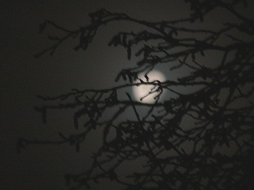 Dezembermond - 2009-12-05