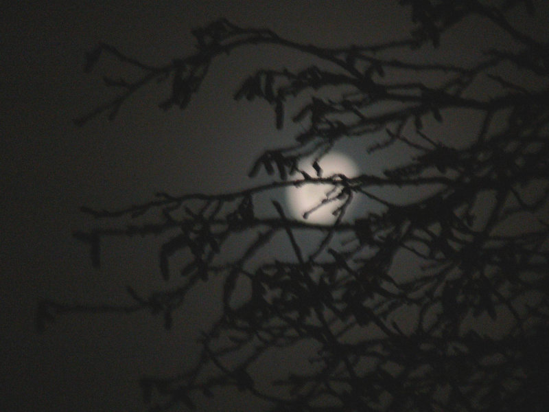 Dezembermond - 2009-12-05