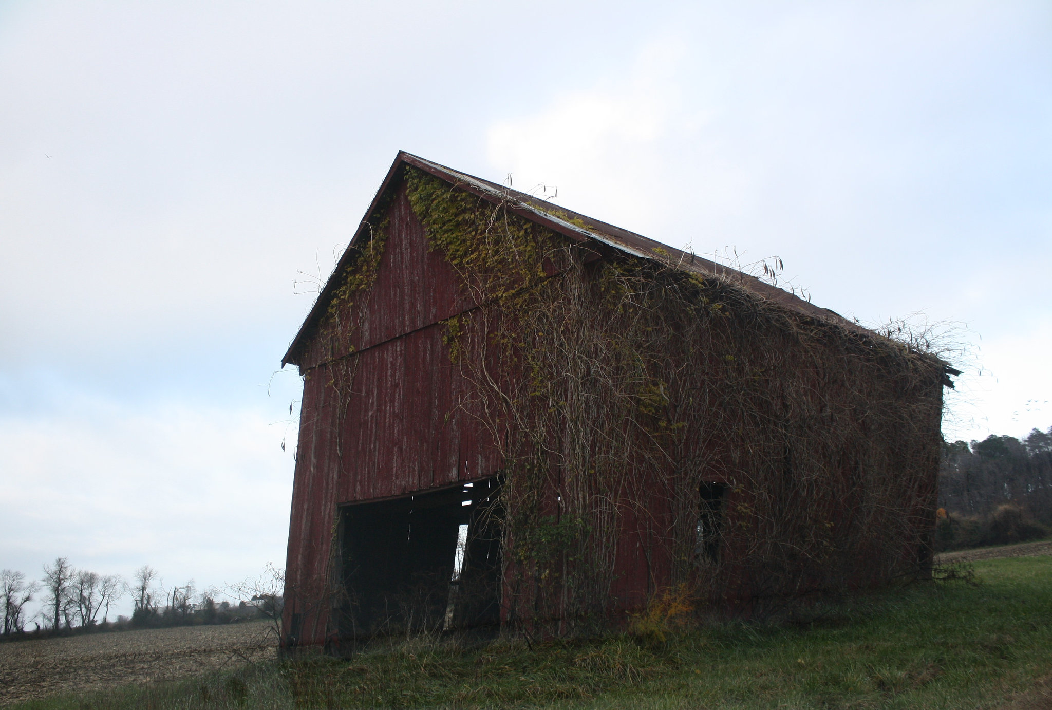 11.NoPointFarm.Dameron.MD.26November2009