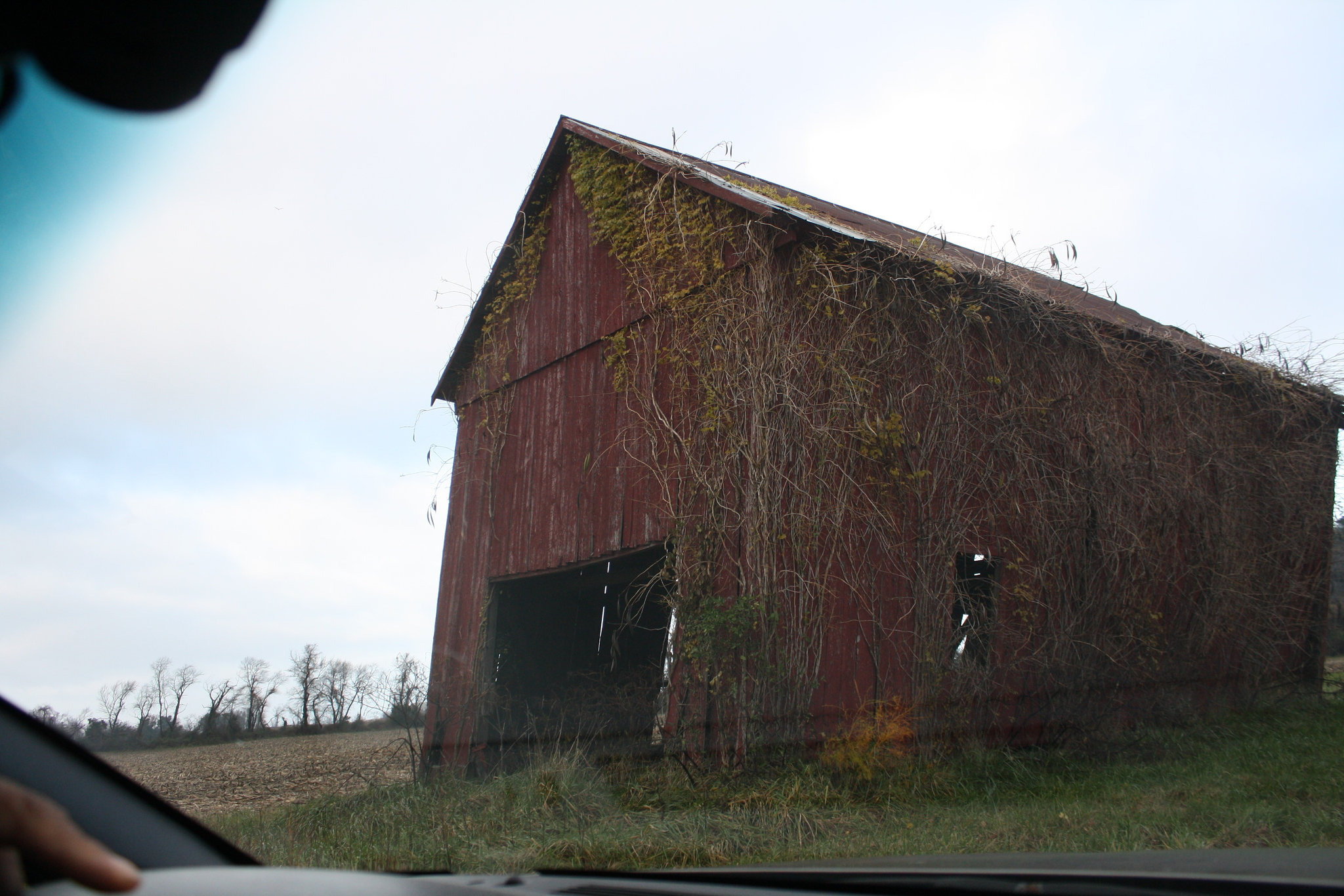 12.NoPointFarm.Dameron.MD.26November2009