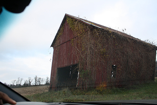 12.NoPointFarm.Dameron.MD.26November2009