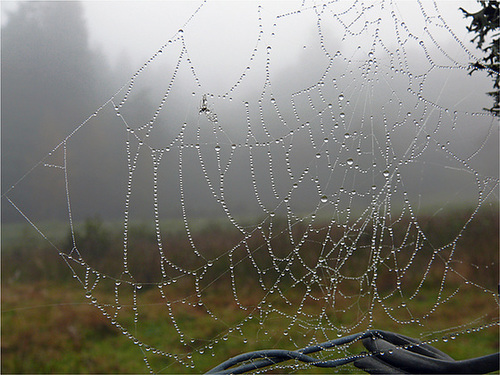 parure d'automne 1