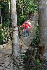 The walk across a rope bridge