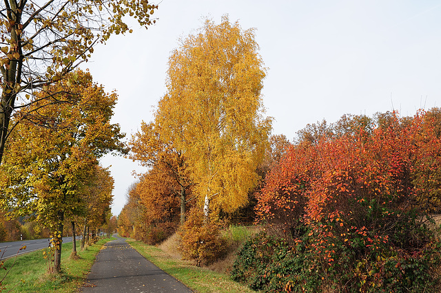 Goldener Oktober