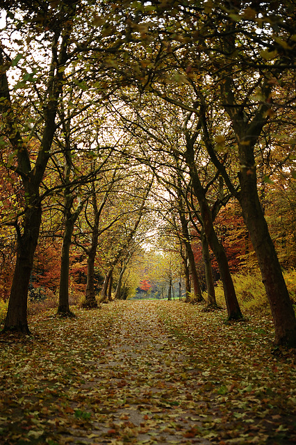 Goldener Oktober