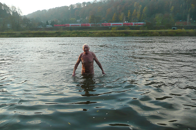 Schwimmen in der Elbe 7.11.2009