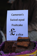 The Nutley Village Summer Fete, East Sussex 2013 - They seemed to think they could charge me for taking the photo!