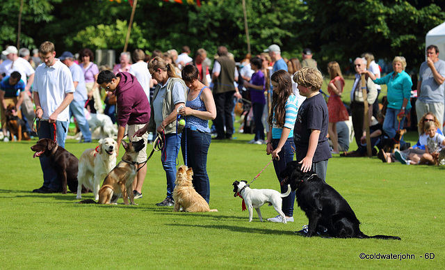 The Nutley Village Summer Fete, East Sussex 2013 - The dog show - Finalists!