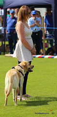 The Nutley Village Summer Fete, East Sussex 2013 - The dog show - spectator