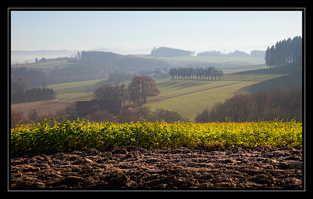 misty outlook