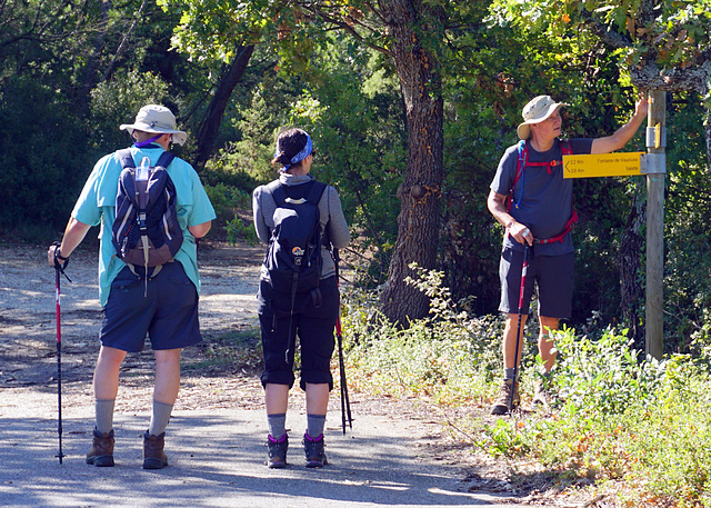 Trail signpost