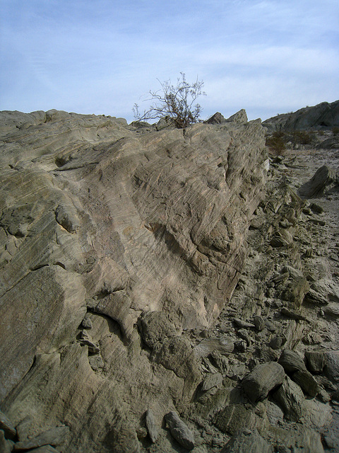 Bat Cave Butte (5009)