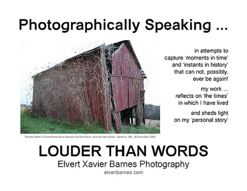 PhotographicallySpeaking.LouderThanWords3