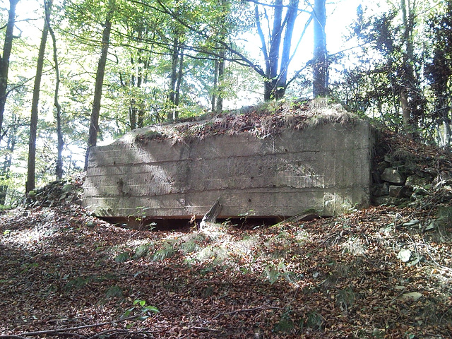 Búnker en Quinto Real (Navarra)