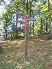 Señalización en el bosque de Quinto Real (Navarra)