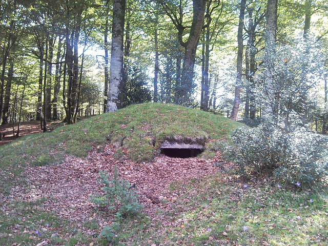 Búnker en Quinto Real (Navarra)