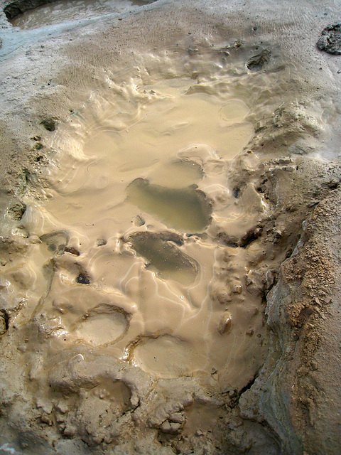 Mud Pool (5017)