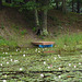 Half moon state park. Sur la 4 près de la 30 nord. Vermont, USA /  États-Unis -   26 juillet  2009