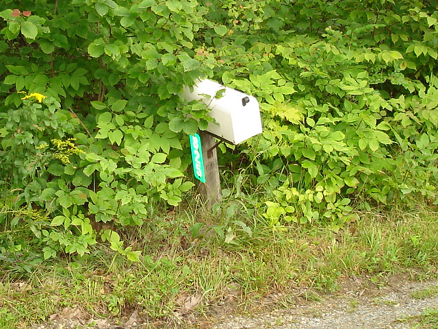 Half moon state park. Sur la 4 près de la 30 nord. Vermont, USA /  États-Unis -   26 juillet  2009 -   Courrier dans la nature - Mail and nature