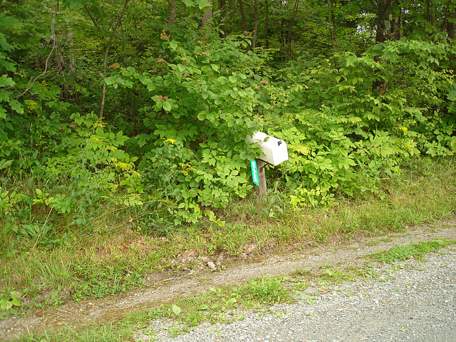 Half moon state park. Sur la 4 près de la 30 nord. Vermont, USA /  États-Unis -   26 juillet  2009 -  Courrier dans la nature /  Mail and mother nature