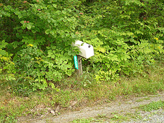 Half moon state park. Sur la 4 près de la 30 nord. Vermont, USA /  États-Unis -   26 juillet  2009 -  Courrier dans la nature /  Mail and nature