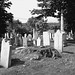 Whiting church cemetery. 30 nord entre 4 et 125. New Hampshire, USA. 26-07-2009-  N & B