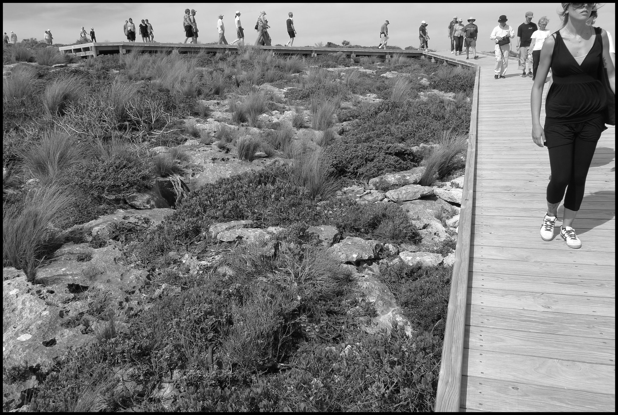 kangaroo island, Australia, 2009.