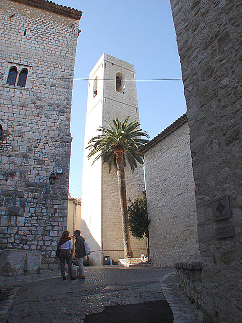 20061106 0935DSCw [F] Kanarische Dattelpalme (Phoenix canariensis), Kirchturm, Saint-Paul-de-Vence, Cote d'Azur