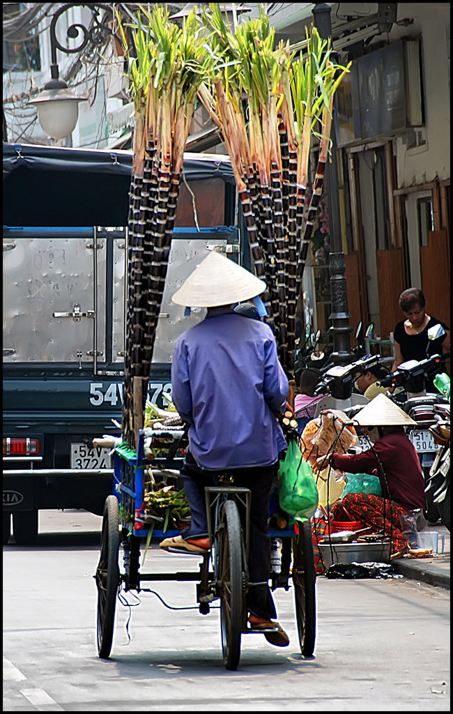 tricycle nursery