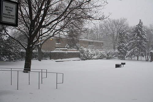 09.SnowBlizzard.SW.WDC.19December2009