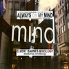 CDLabel.AlwaysOnMyMind.House.October2009