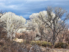 Charleston, Arizona