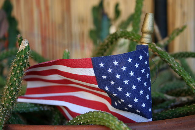Flag & Cactus (2826)