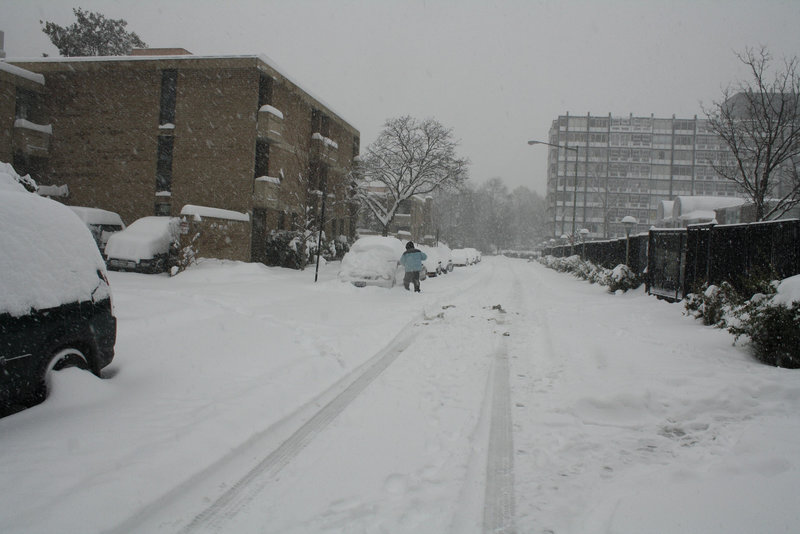 12.SnowBlizzard.SW.WDC.19December2009