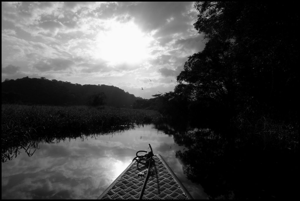 Marais de Kaw, Guyane, 2009.