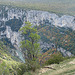 20061103 0886DSCw [F] Verdon-Canyon, Cote d'Azur